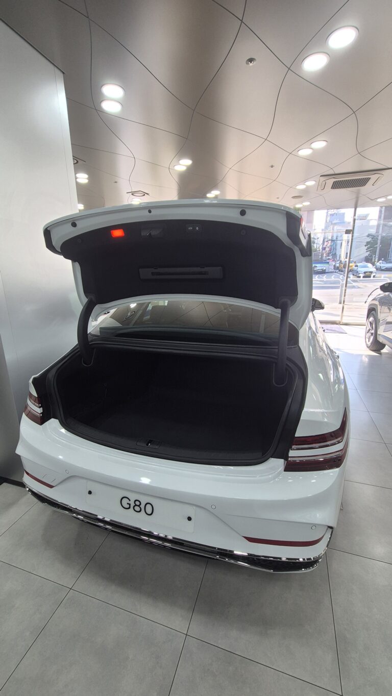 G80 겨울 관리, 한파와 눈길 대비법